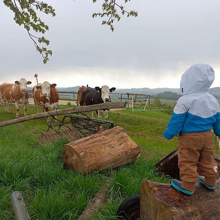 Ferienwohnung Im Muehlviertler Panorama Vierseithof Lembach im Muhlkreis Bagian luar foto