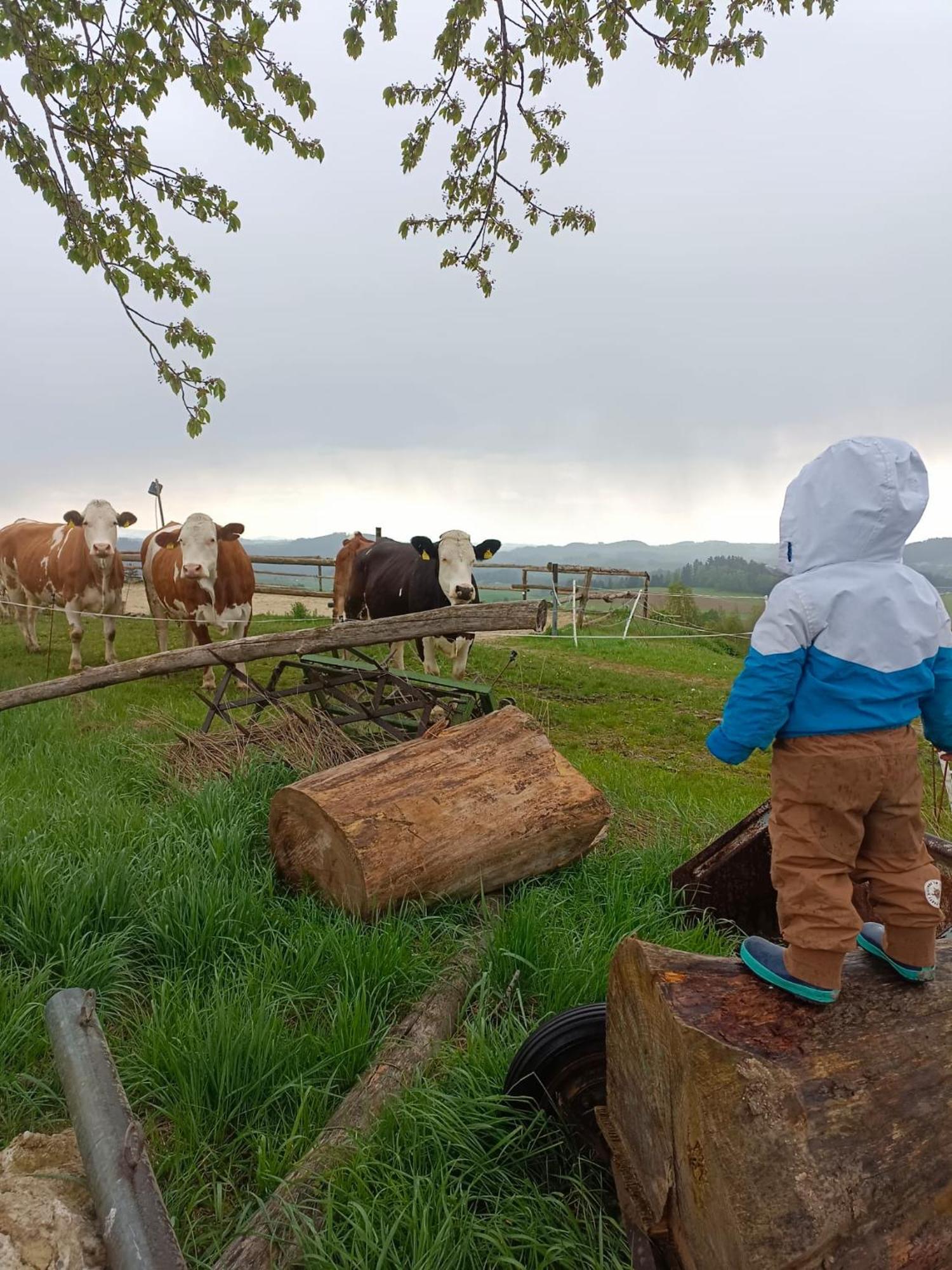Ferienwohnung Im Muehlviertler Panorama Vierseithof Lembach im Muhlkreis Bagian luar foto